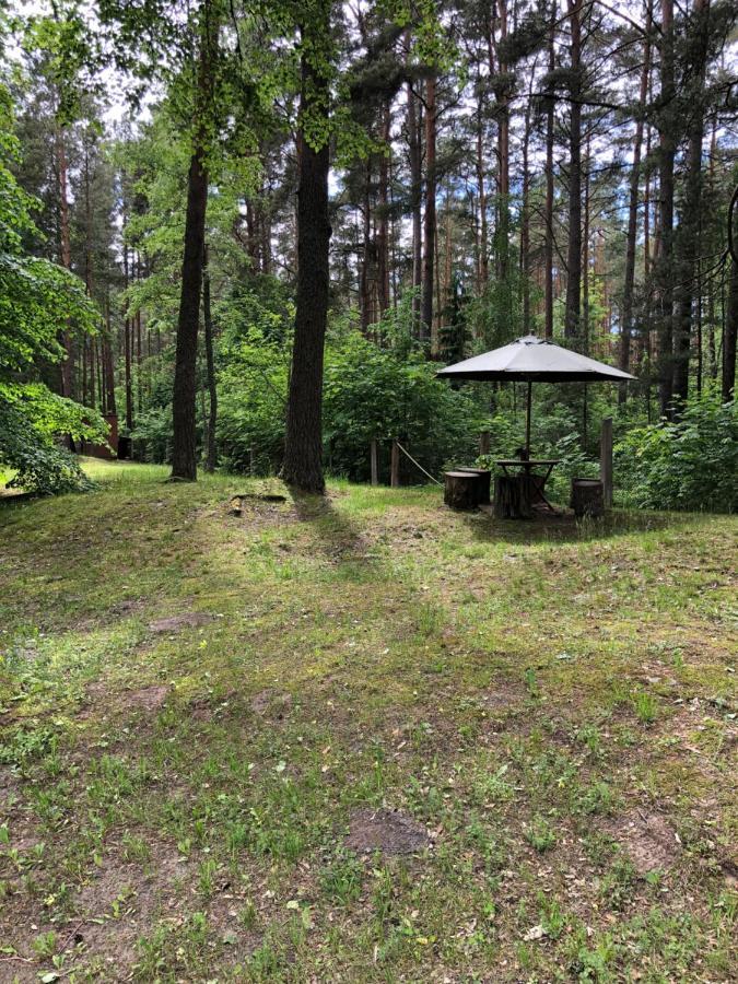 Oravapesa Guest House Häädemeeste Eksteriør billede