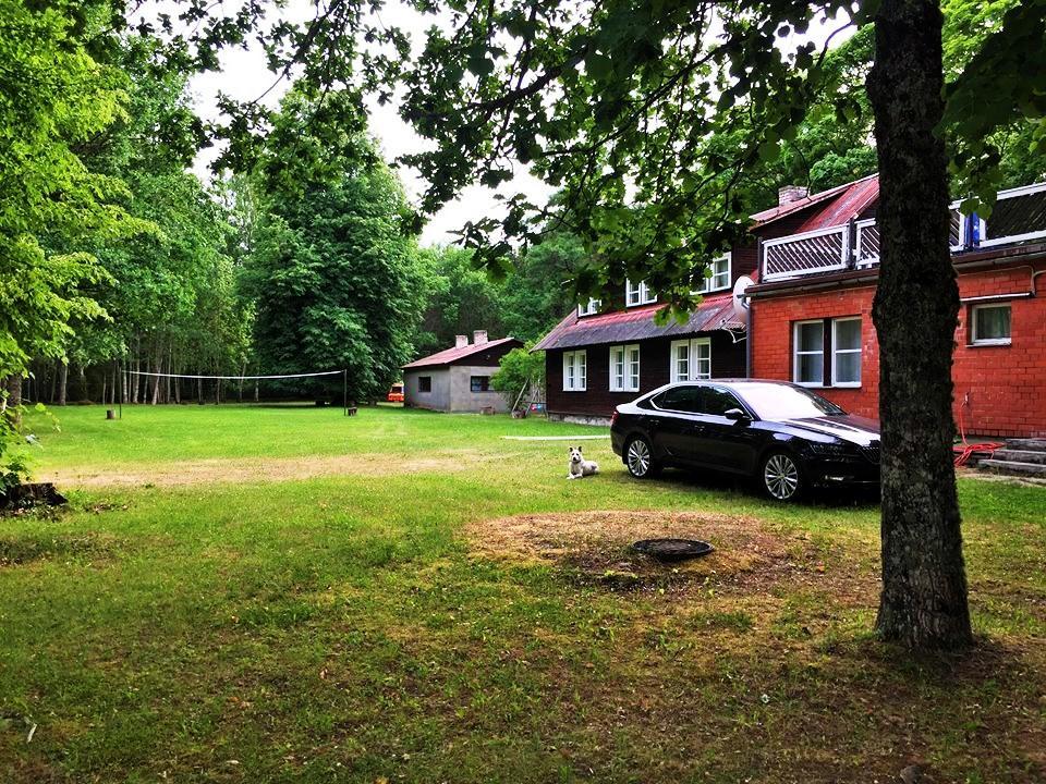 Oravapesa Guest House Häädemeeste Eksteriør billede